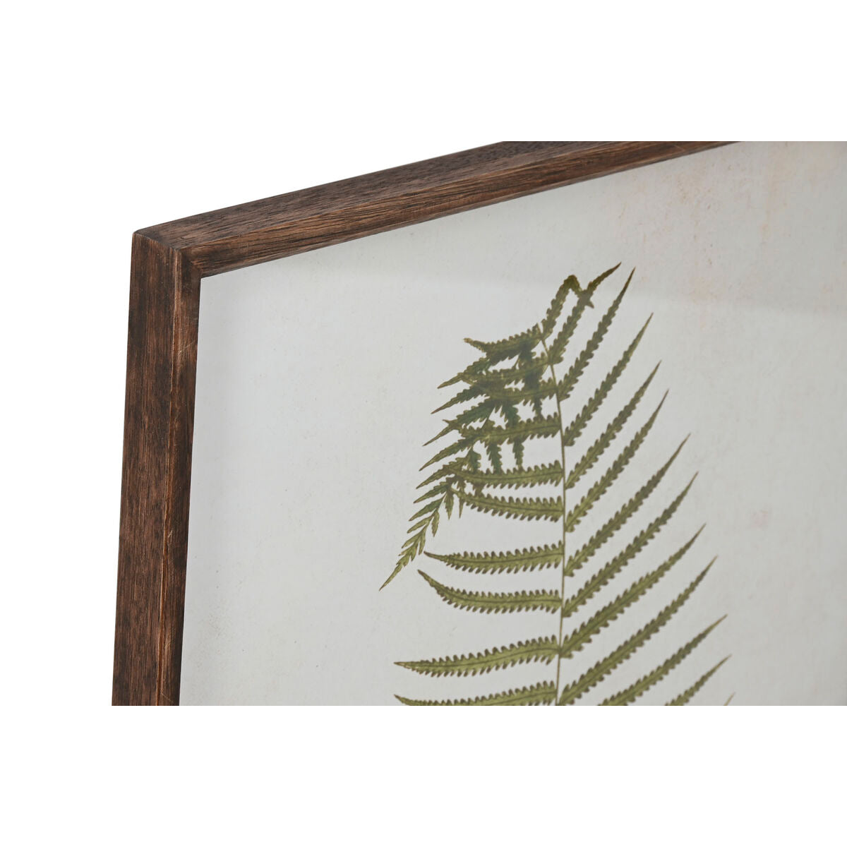 Bild Home ESPRIT Kristall Tanne 45 x 2,5 x 70 cm