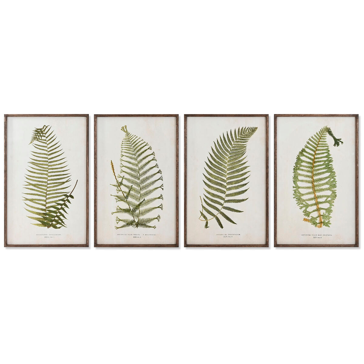 Bild Home ESPRIT Kristall Tanne 45 x 2,5 x 70 cm