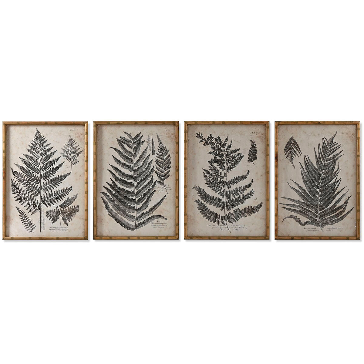 Bild Home ESPRIT Kristall Tanne 50 x 3 x 70 cm 50 x 2,5 x 70 cm